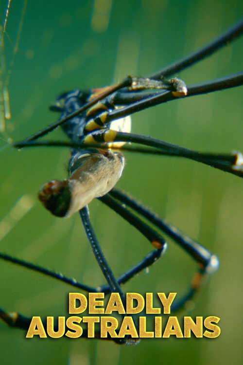 |NL| Deadly Australians 8