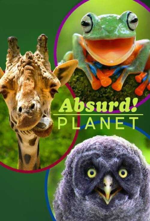 |PL| Absurd Planet 8