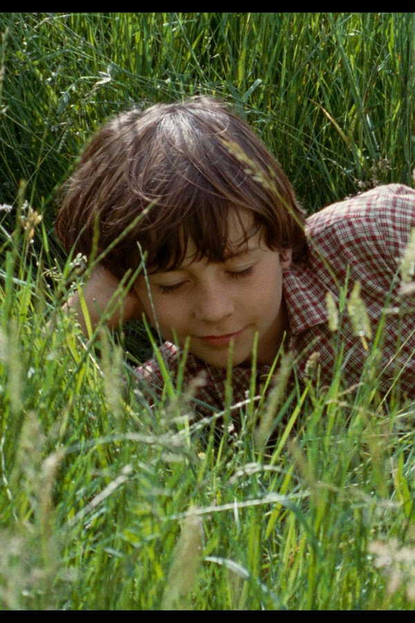 Das Wunder der Natur (2011) 0