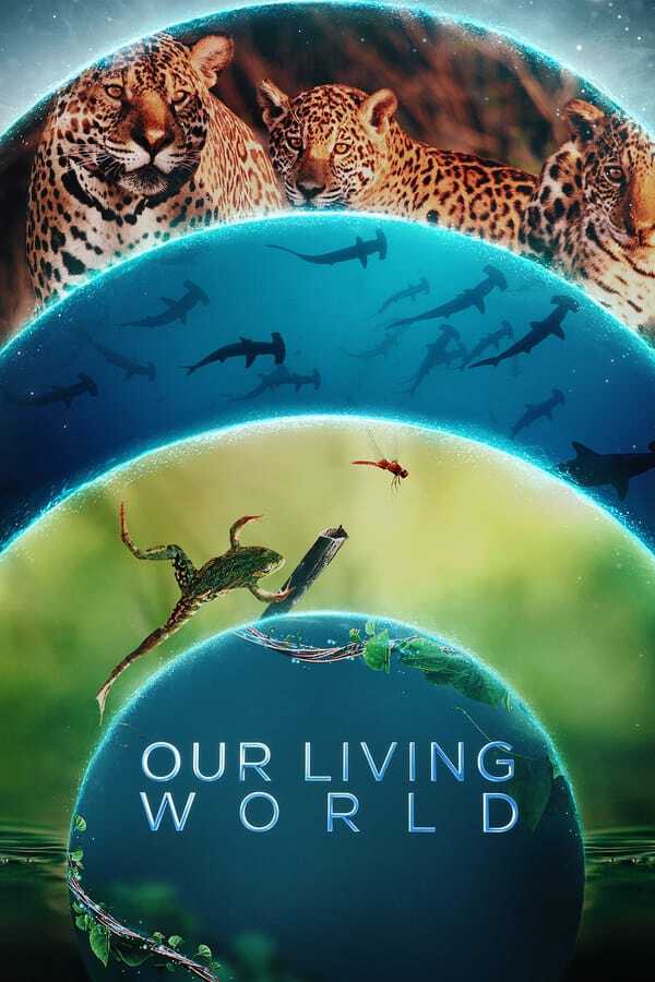 |TR| Our Living World 8