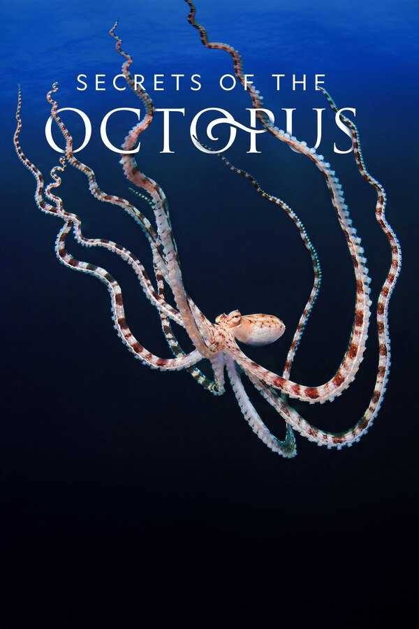 |NL| Secrets of the Octopus 8