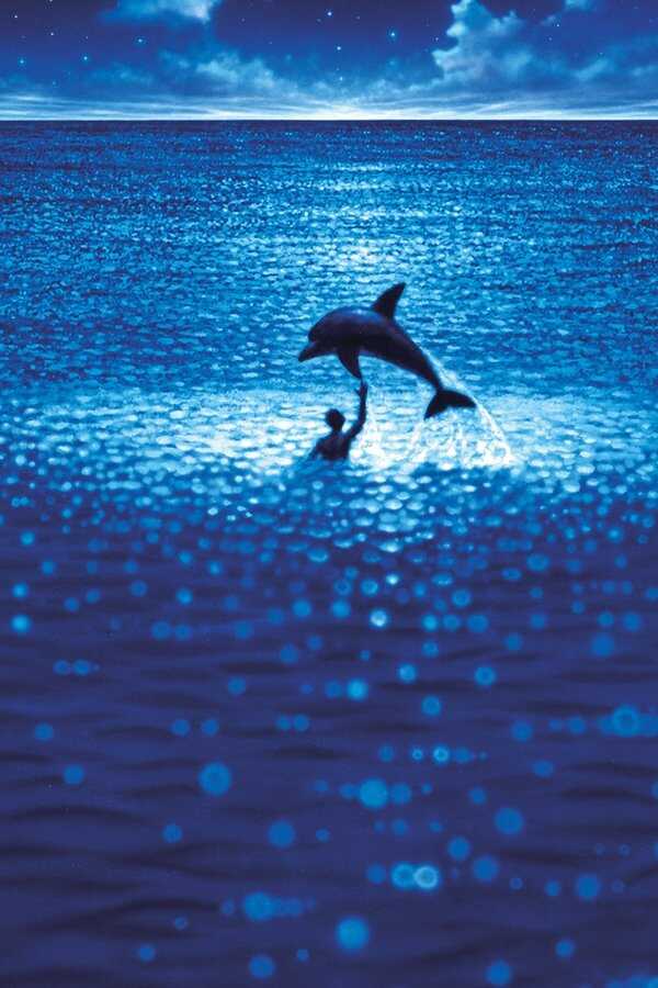 Le Grand Bleu (1988) 0