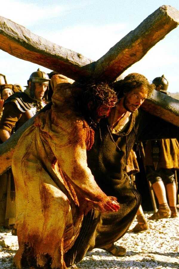 The Passion of the Christ (2004) 0