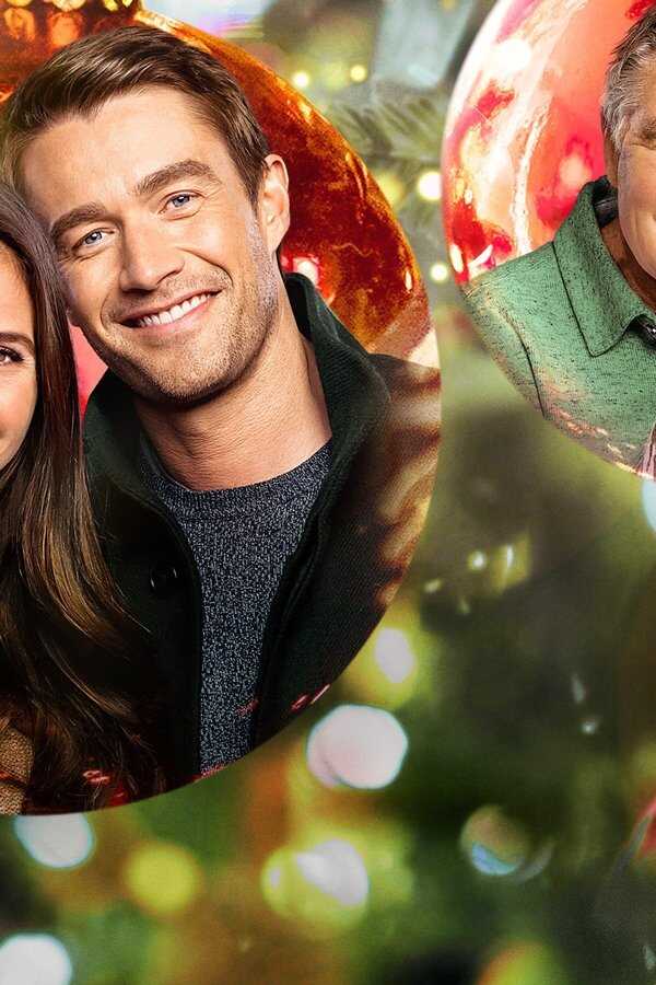 The Christmas House (2020) 0