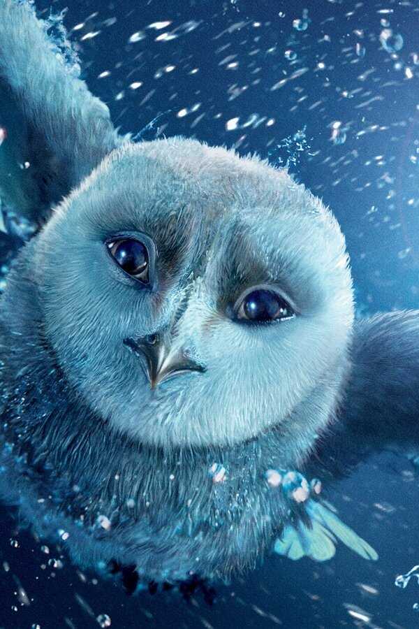 Legend of the Guardians: The Owls of Ga'Hoole (2010) 0