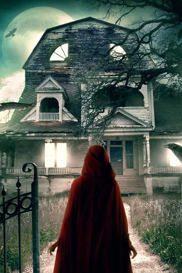 Amityville Cult (2021) 0