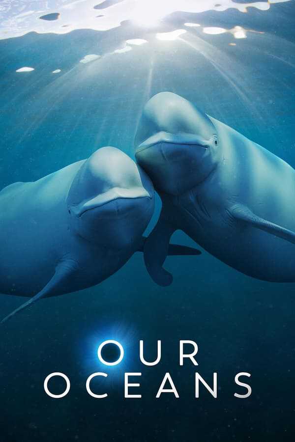 |MULTI| Our Oceans 8