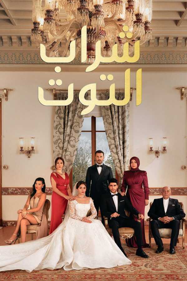 |AR| Kızılcık serbeti  - (مدبلج)شراب التوت 8