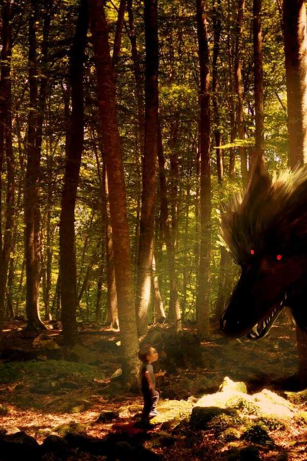 Ma famille et le loup (2019) 0
