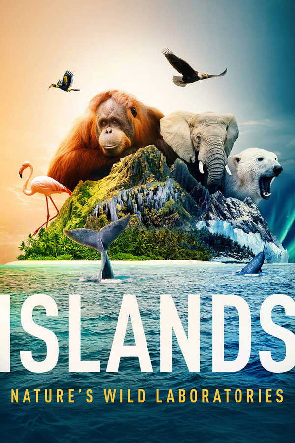 |DE| Islands 8
