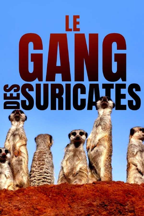 |FR| Le gang des suricates 8