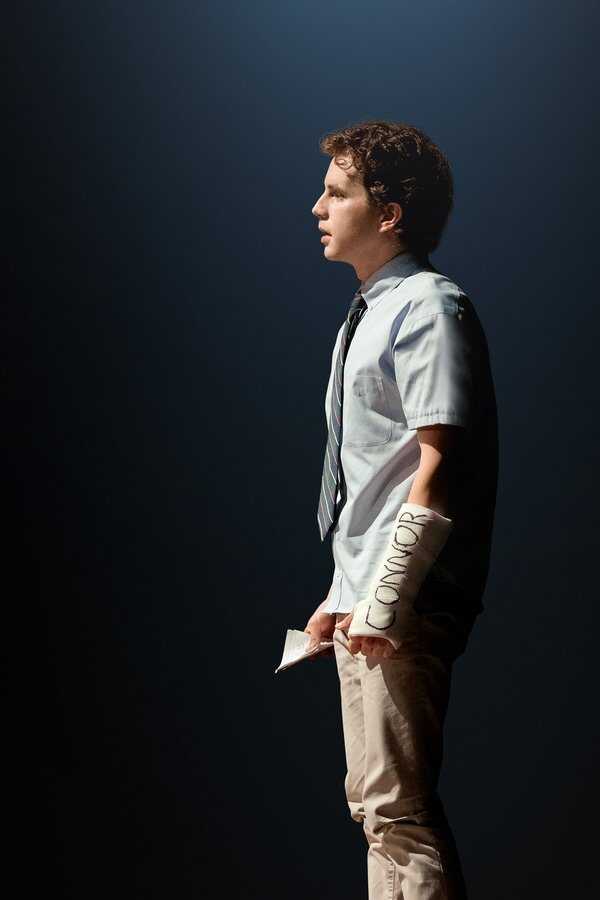 Dear Evan Hansen (2021) 0