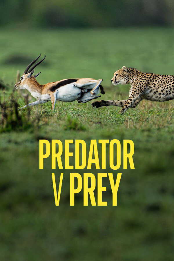 |EN| Predator v Prey 8