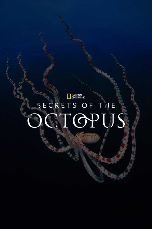 |EN| Secrets of the Octopus 8