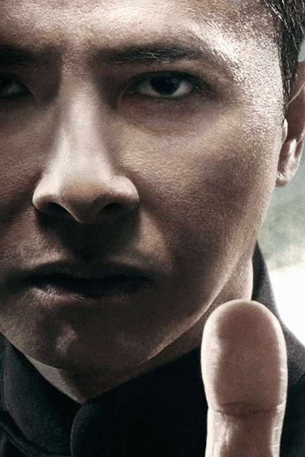 Ip Man 4: El final (2019) 0