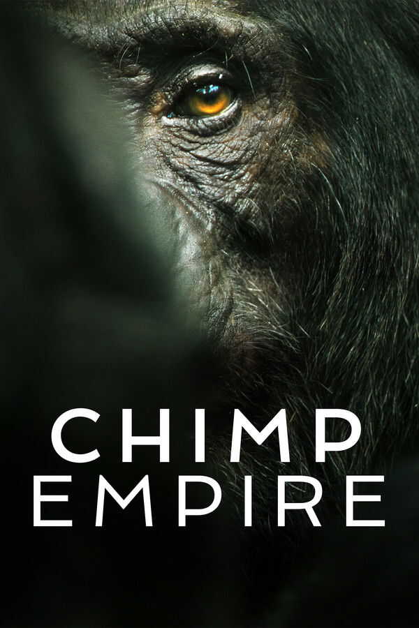 |PL| Chimp Empire 8