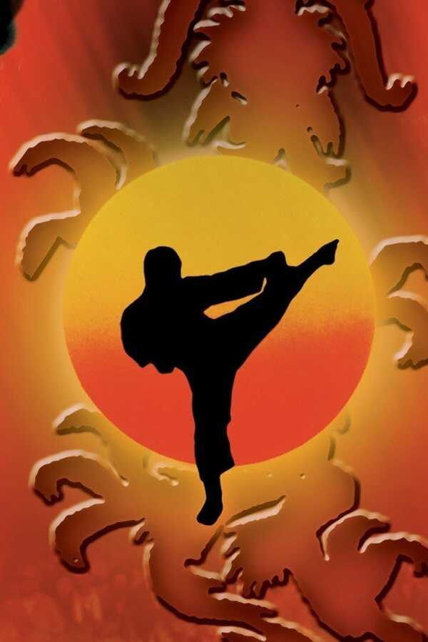 The Karate Kid II (1986) 0