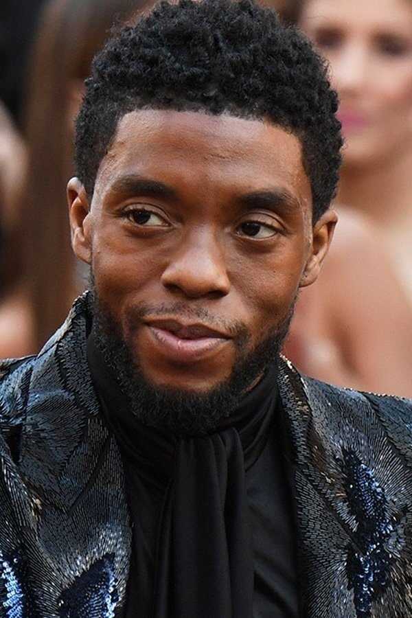 Chadwick Boseman: Portrait of an Artist (2021) 0