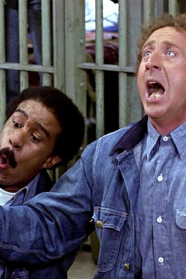 Stir Crazy (1980) 0