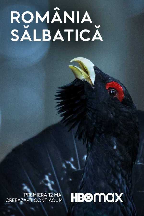 |PL| Wild Romania 8