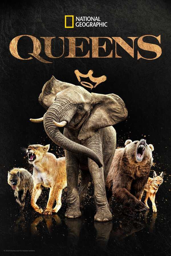 |TR| Queens 8