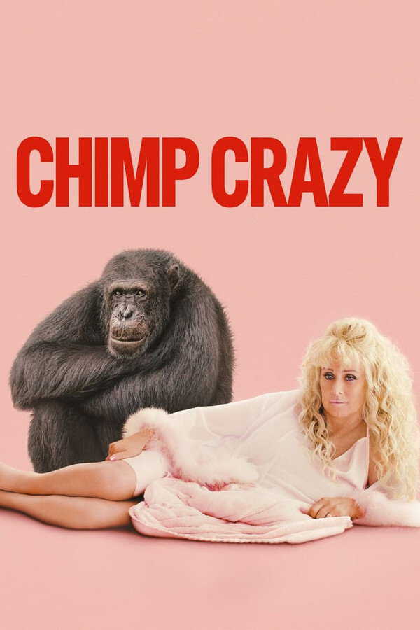 |EN| Chimp Crazy 8