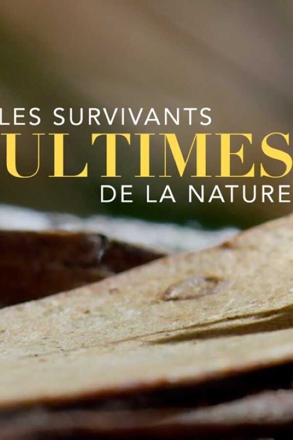 |EN| Natures Ultimate Survivors 8
