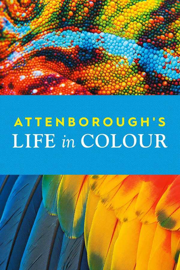 |SW| Attenboroughs Life in Colour 8