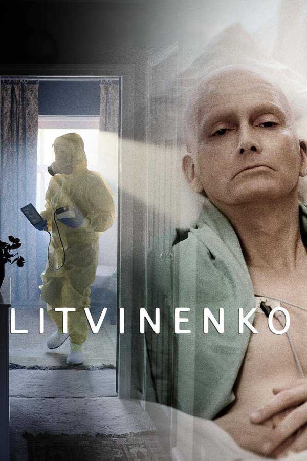 |AR| Litvinenko 8