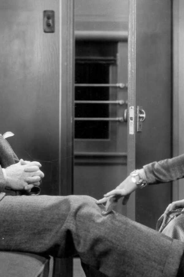 Lady Killer (1933) 0