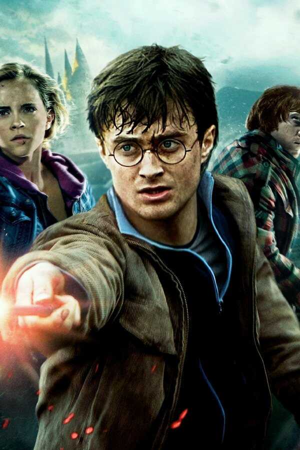 Harry Potter and the Deathly Hallows: Part 2 (2011) 0