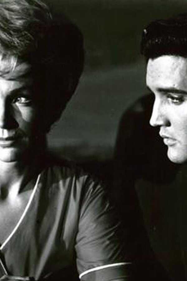 Blondes, brunes et rousses (1963) 0