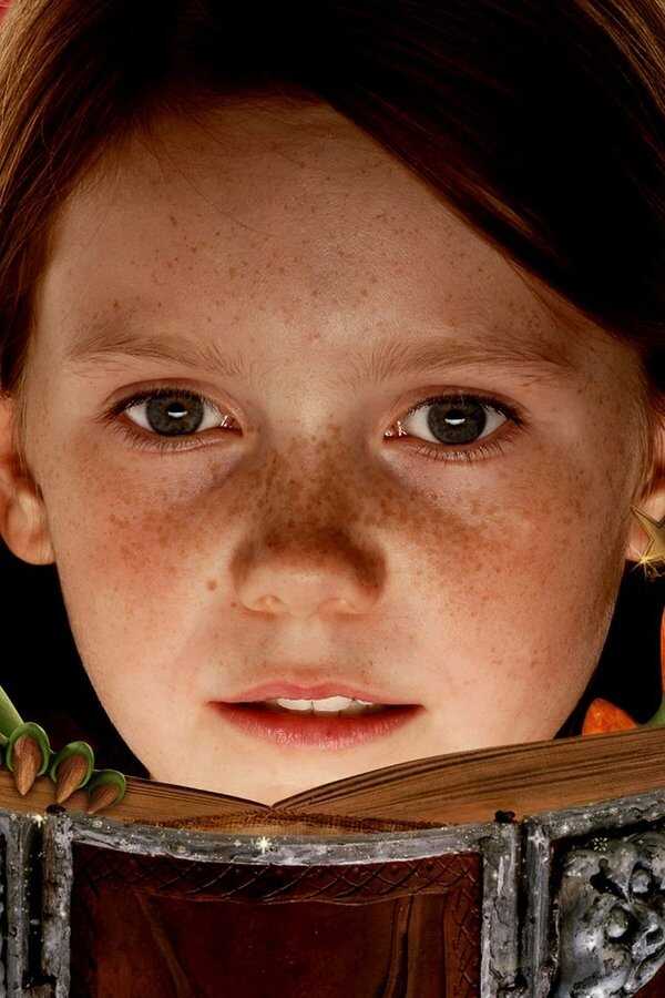 Hexe Lilli - Der Drache und das magische Buch (2009) 0