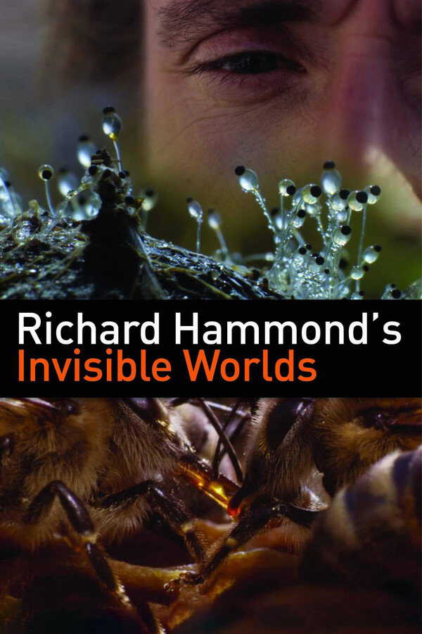 |EN| Richard Hammonds Invisible Worlds 8