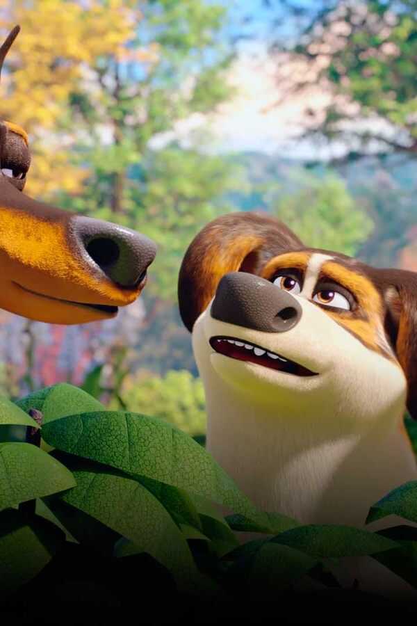 Trouble (2019) 0