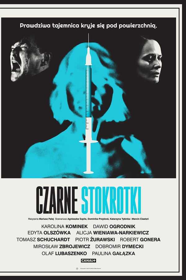 |PL| Czarne stokrotki 8