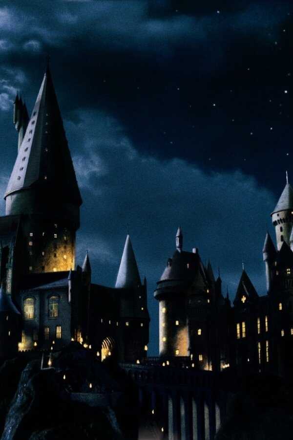 Harry Potter and the Philosopher's Stone (2001) 0