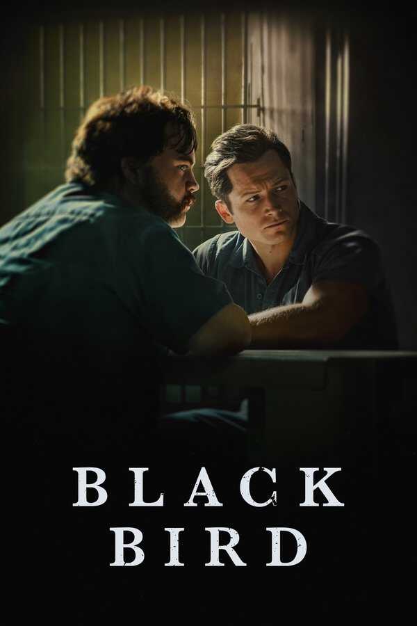 |AR| Black Bird 8