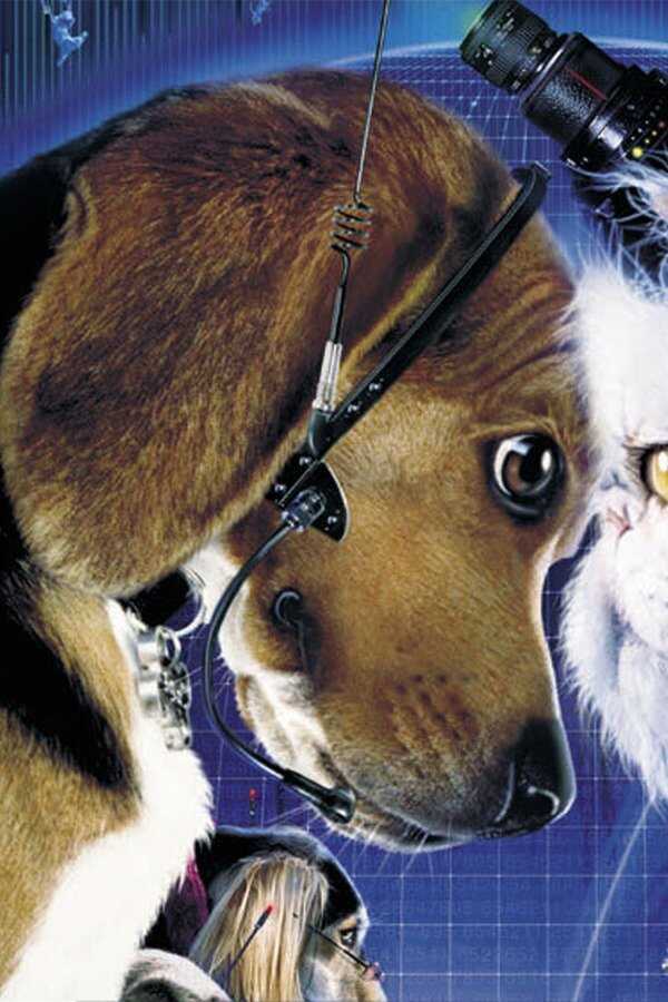 Comme chiens et chats (2001) 0