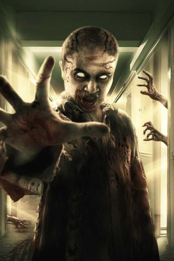 Hall (2020) 0