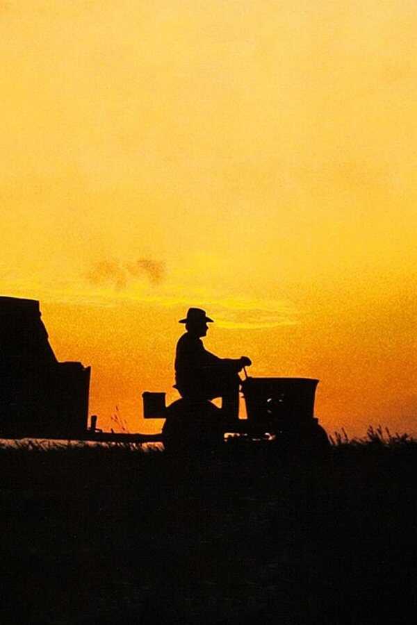 The Straight Story (1999) 0
