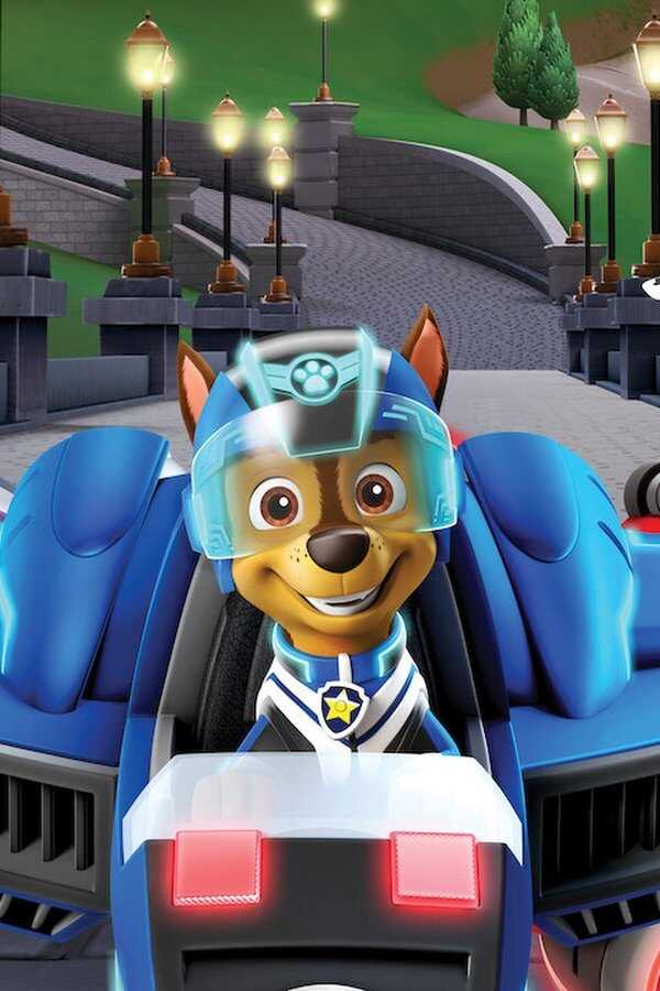 Psi Patrol: Odrzutowce na ratunek (2020) 0