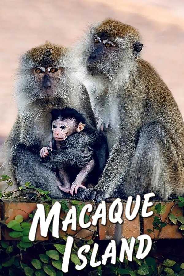 |EN| Macaque Island 8