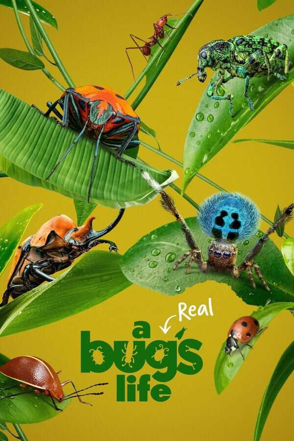 |FR| A Real Bugs Life 8