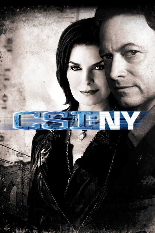 |EN| CSI: NY 8