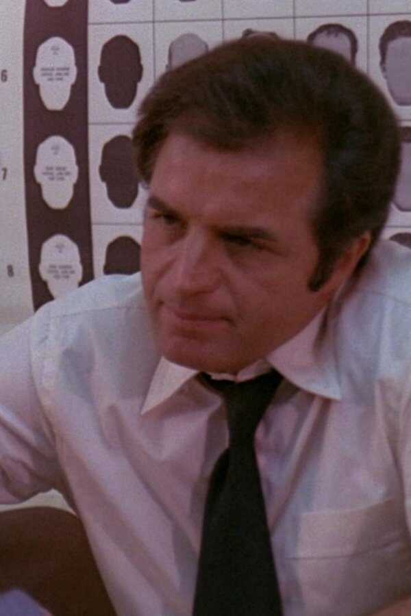 The Mad Bomber (1973) 0