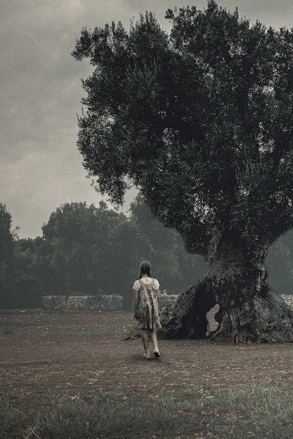 The Binding (2020) 0