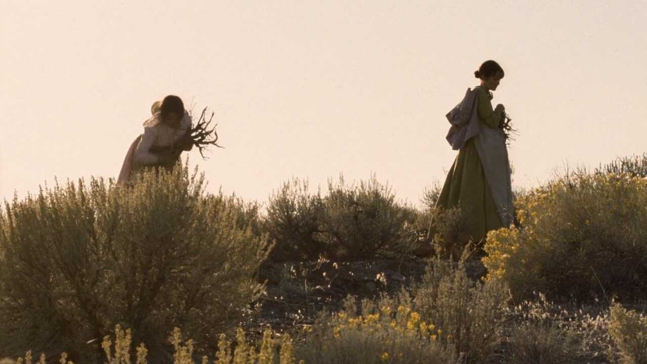 Meek's Cutoff (2011) 0