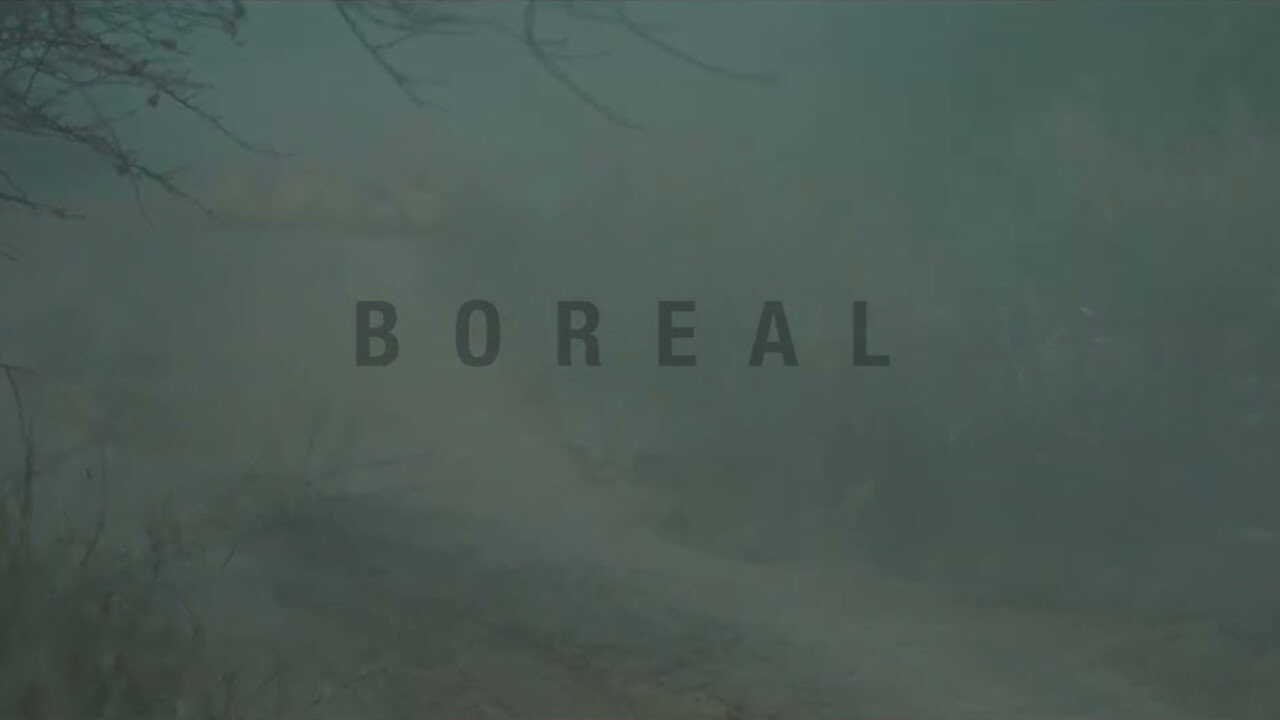 Boreal (2024) 0