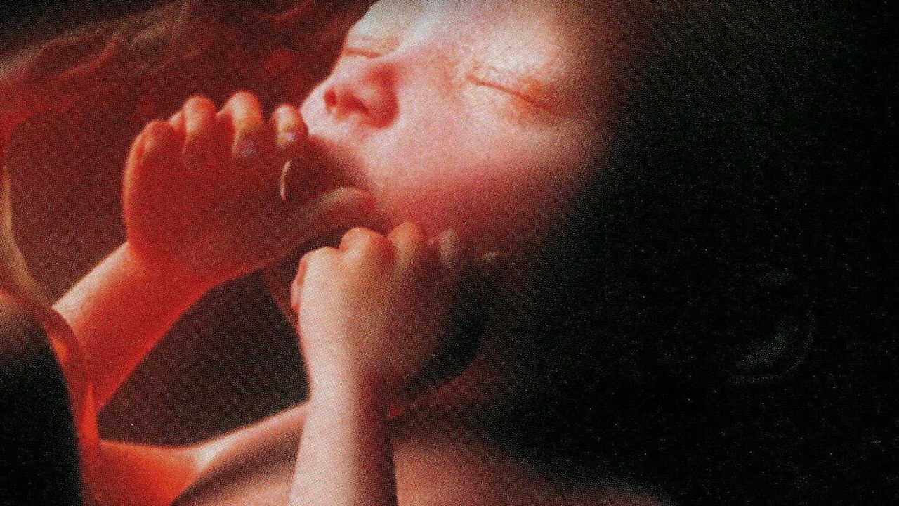 FR| L'Odyssée de la vie - 2006 0